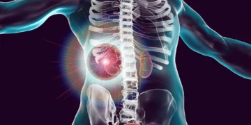 کشف ژن‌های ویروسی نهفته برای درمان سرطان کلیه