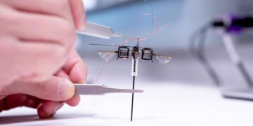 ساخت ربات جهنده کوچک با ترکیب بال و فنر