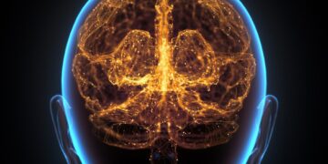 کشف نقش کلیدی تالاموس در آگاهی