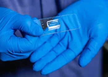 انقلاب در تشخیص بیماریهای قلبی با تراشه زیستی شبیهساز رگ های خونی