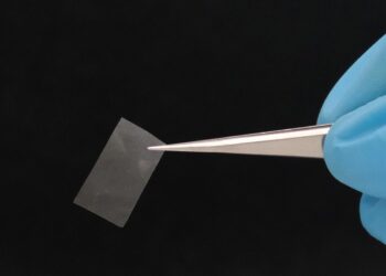 تولید کیسههای زیست تجزیهپذیر خوراکی و زنده از قارچی کمیاب