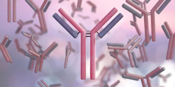 تحول در درمان سرطان با توسعه آنتی ‌بادی‌ های بسیار قدرتمند