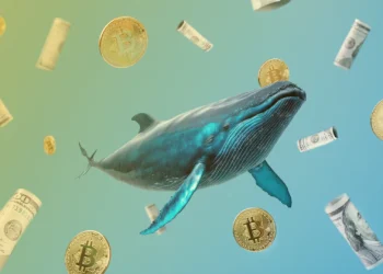 ۳ ارز دیجیتال که نهنگها در حال انباشت آنها هستند
