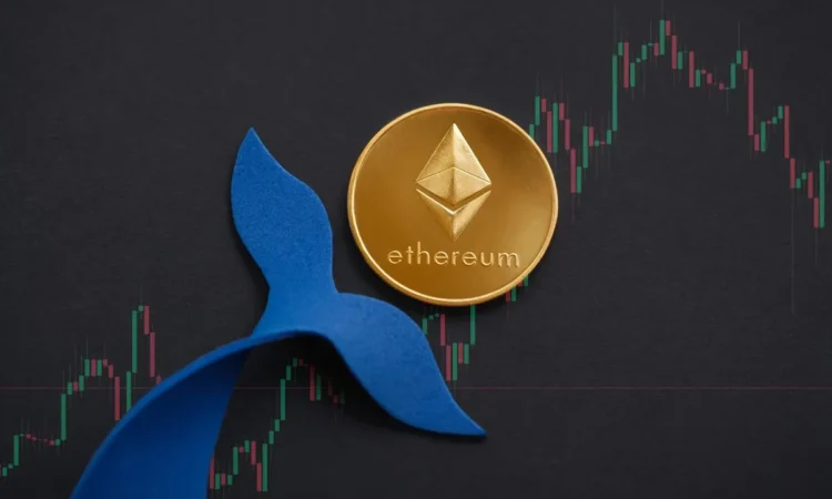 فروش ۷۶ هزار اتریوم توسط یک نهنگ قدیمی؛ ماجرا از چه قرار است؟