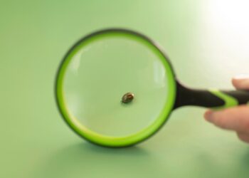 کشف آفتی که از ۶۰ هزار سال پیش همراه انسان بوده است