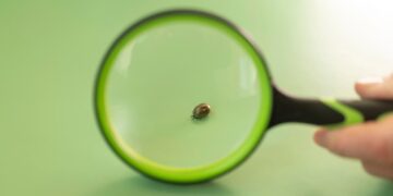 کشف آفتی که از ۶۰ هزار سال پیش همراه انسان بوده است