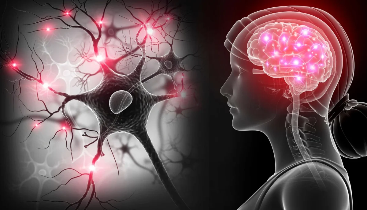 نشانههای ابتلا به آلزایمر پیش از ۳۰ سالگی قابل تشخیص هستند
