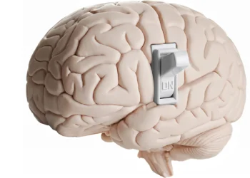 کشف یک مکانیسم مولکولی برای درمان آلزایمر و پارکینسون