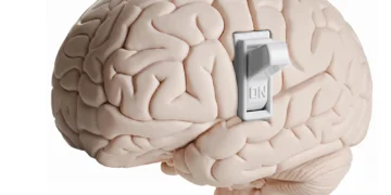 کشف یک مکانیسم مولکولی برای درمان آلزایمر و پارکینسون