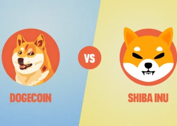 دوج کوین یا شیبا اینو؛ کدام یک سرمایهگذاری بهتری برای ماه مه ۲۰۲۵ است؟