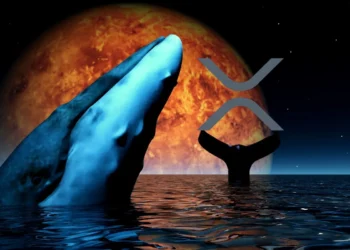 نهنگها ۹۰۰ میلیون ریپل خریدند؛ آیا جهش قیمت در راه است؟