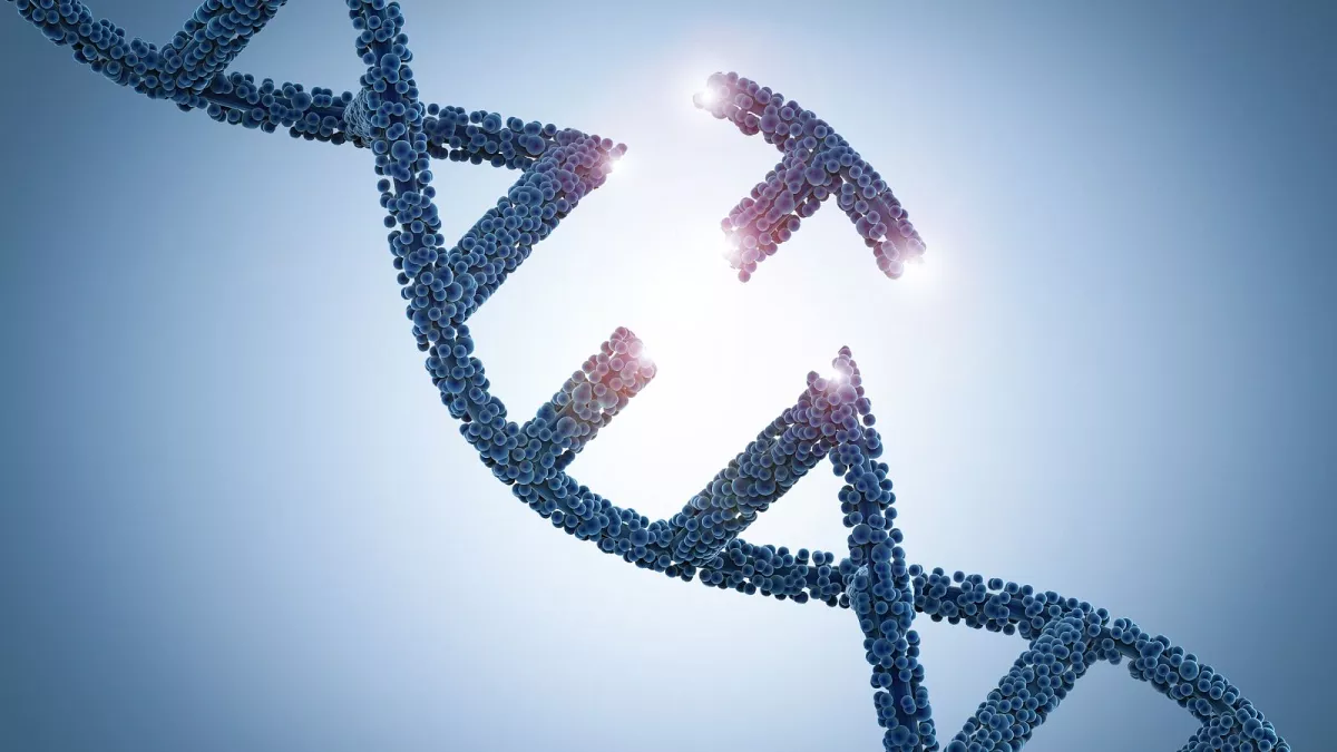 گوگل هوش مصنوعی AlphaGenome را برای پیش بینی جهش های ژنتیکی معرفی کرد