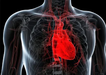 هشدار دانشمندان در مورد ناکارآمدی توصیه‌های فعلی سلامت قلب