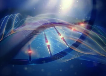 کشف قانونی ساده که شکل‌دهنده پراکندگی گونه‌ها در زیست‌بوم‌های مختلف است