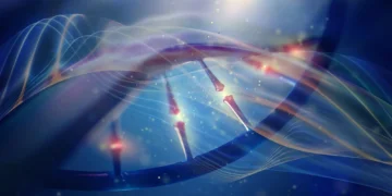 کشف قانونی ساده که شکل‌دهنده پراکندگی گونه‌ها در زیست‌بوم‌های مختلف است