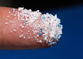 تحقیقات جدید درباره خطرات جدی نانوپلاستیکها برای سلامت انسان