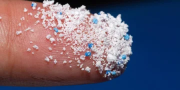 تحقیقات جدید درباره خطرات جدی نانوپلاستیک‌ها برای سلامت انسان