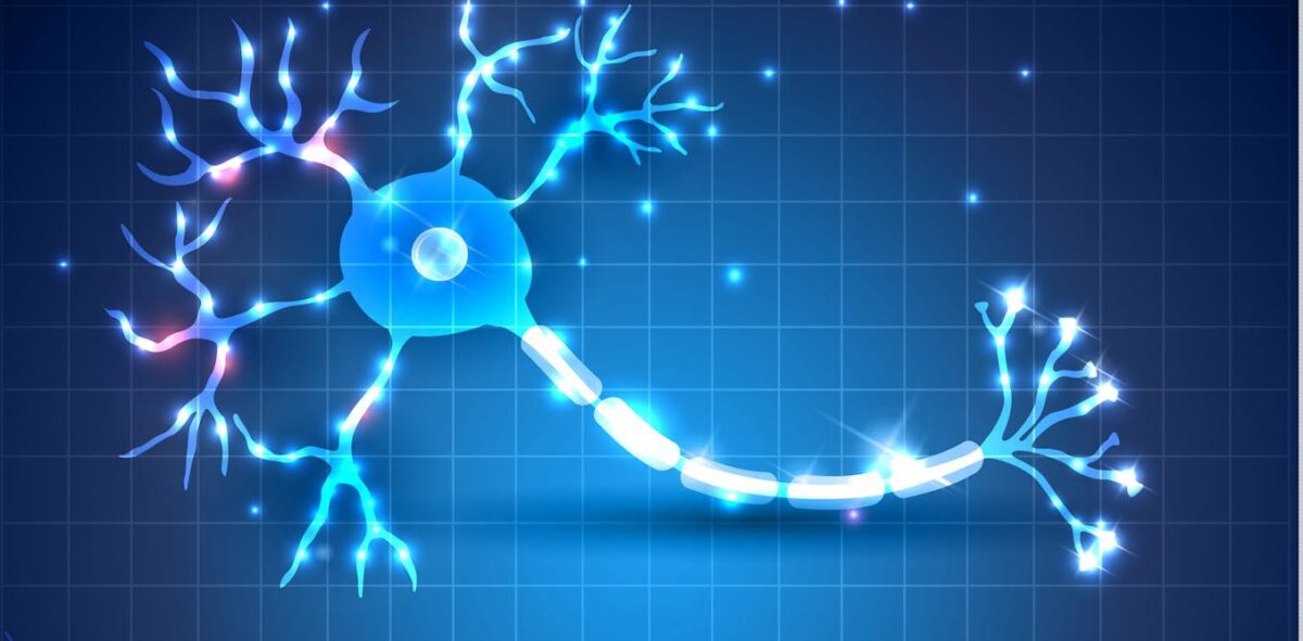 آیا شارژ مجدد سلول های مغزی میتواند کلید درمان بیماری ام اس باشد؟