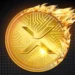 راستی‌آزمایی یک ادعا: آیا ریپل قصد دارد ۱۰ درصد از کل عرضه XRP را امحا کند؟