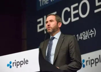 مدیرعامل ریپل: میم‌کوین‌ها بیش از آنچه باید ارزش‌گذاری شده‌اند