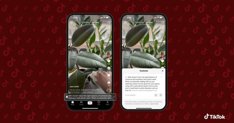 حقیقت‌سنجی در تیک‌تاک