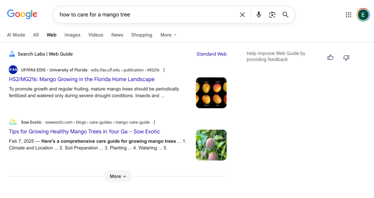 سرویس Web Guide گوگل