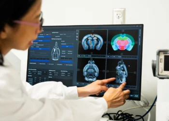 کشف فواید شگفت‌انگیز کراتین برای مغز با کمک امواج فراصوت