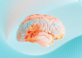 کشف مسیر عصبی جدیدی که درد را به رنج تبدیل می‌ کند