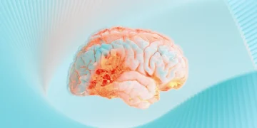 کشف مسیر عصبی جدیدی که درد را به رنج تبدیل می‌ کند