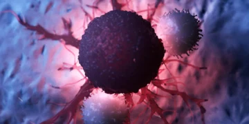 کشف روشی جدید برای توقف رشد سلول‌های سرطانی