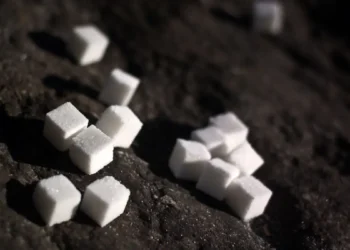 دانشمندان چینی دی‌اکسید کربن را به شکر سفید تبدیل کردند