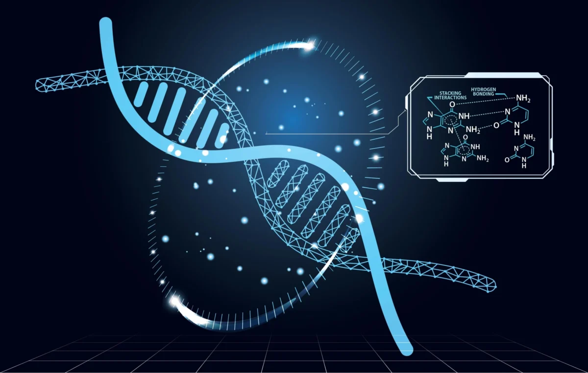 توسعه ساختارهای هوشمند مبتنی بر DNA برای کنترل نور، صوت و ویژگیهای ماده