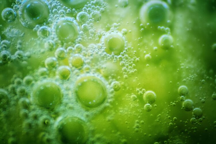 کشف منبع جدید انرژی در اعماق زمین؛ امیدی تازه برای وجود حیات در مریخ