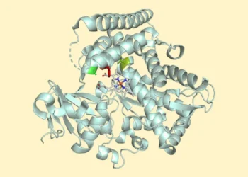 تولید دقیق دارو با کمک آنزیم ‌های مهندسی ‌شده