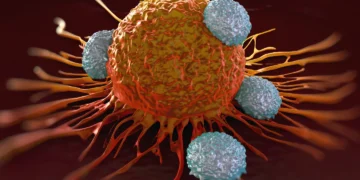 ابداع روشی جدید برای افزایش قدرت سلول‌های ایمنی مبارز با سرطان