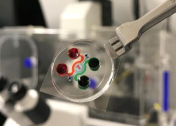 ساخت یک تراشه میکروسکوپی که روش های درمان سرطان خون را متحول می کند