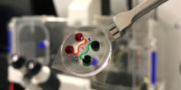 ساخت یک تراشه میکروسکوپی که روش‌ های درمان سرطان خون را متحول می کند