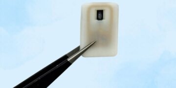 ایمپلنت جدید MIT جان مبتلایان به دیابت نوع ۱ را در زمان افت قند خون نجات می‌ دهد