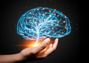 محققان چگونگی تبدیل کلمات منفرد به جملات پیچیده را کشف کردند