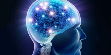 آیا هوش ژنتیکی است؟ کشف ارتباط بین ساختار و عملکرد مغز