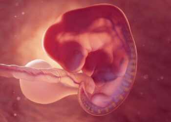 تولد ۸ کودک سالم از طریق فناوری اهدای میتوکندری در بریتانیا