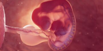 تولد ۸ کودک سالم از طریق فناوری اهدای میتوکندری در بریتانیا