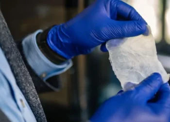 ساخت ورقهای زیستتخریبپذیر که جایگزین پلاستیک می شوند!