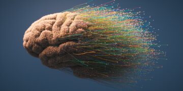 حافظه فضایی در مغز ثابت نمی ماند و با گذشت زمان جابه‌جا می ‌شود