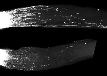 RNAهای به ظاهر بی ‌فایده کلید ترمیم اعصاب آسیب‌دیده هستند