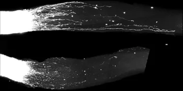 RNAهای به ظاهر بی ‌فایده کلید ترمیم اعصاب آسیب‌دیده هستند