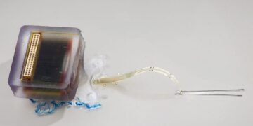 بازیابی حرکت پس از آسیب نخاعی با ایمپلنت پیشرفته الکتریکی