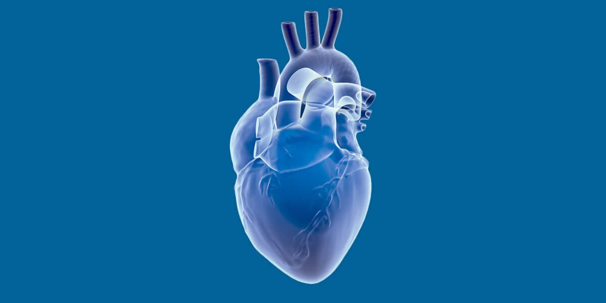 آلودگی هوا در سطح ایمن هم به قلب آسیب می زند
