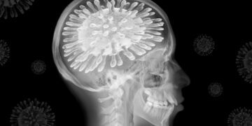 همه ‌گیری ویروس کرونا مغز انسان را ۵.۵ ماه پیرتر کرده است