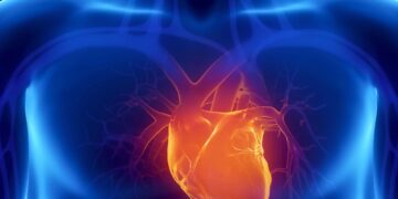 نقش شگفت‌انگیز مکمل غذایی تری‌کاپرین در درمان بیماری های قلبی